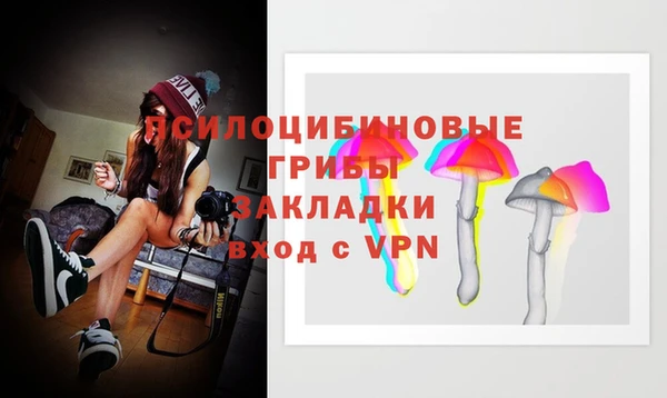дмт Алзамай