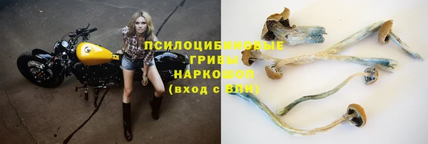 сатива Алексин