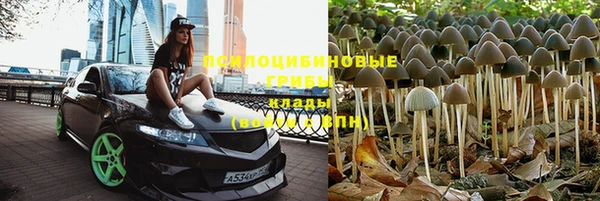 ГАЛЛЮЦИНОГЕННЫЕ ГРИБЫ Сатка