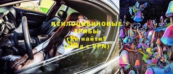 сатива Алексин
