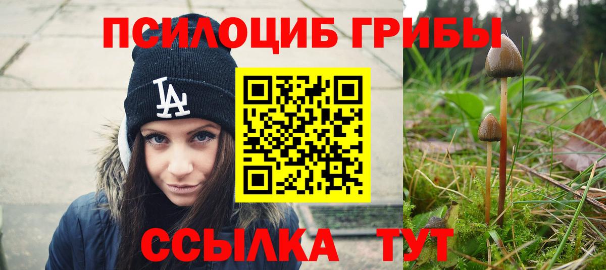Галлюциногенные грибы GOLDEN TEACHER Дюртюли